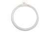 Globe for CAPG005 - #CAPG005L